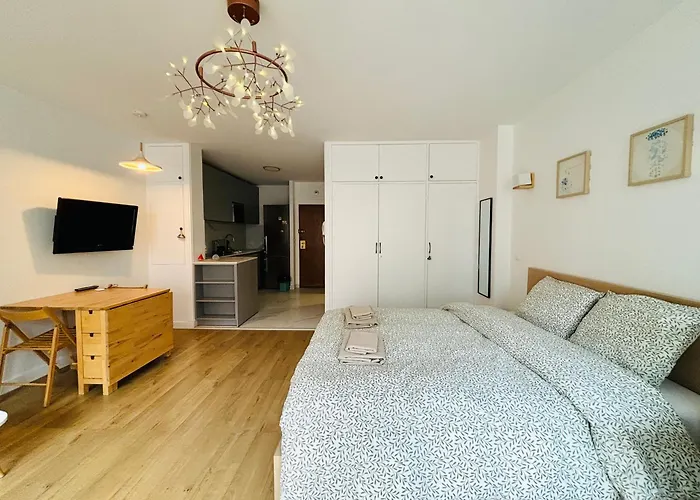 Deluxe Studio 650M Near Arc De Triomphe * Paris